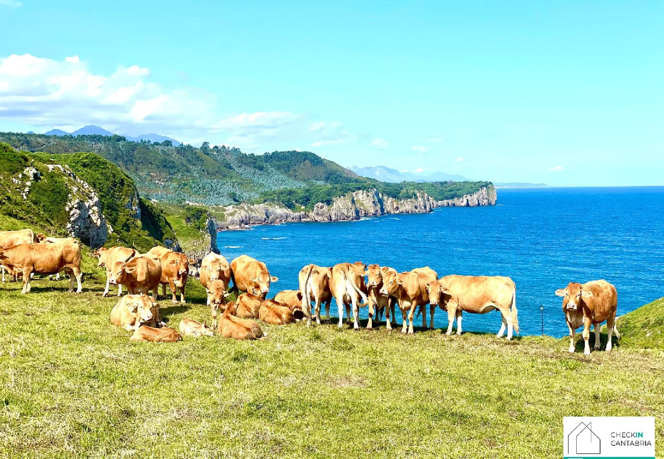 Apartamento en Comillas - Aventuras