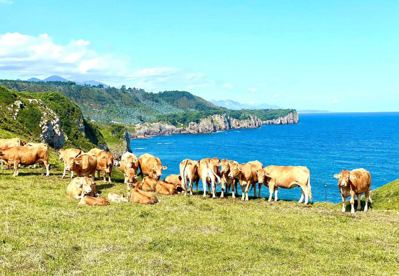 Apartamento en Suances - Horizonte del Cantábrico