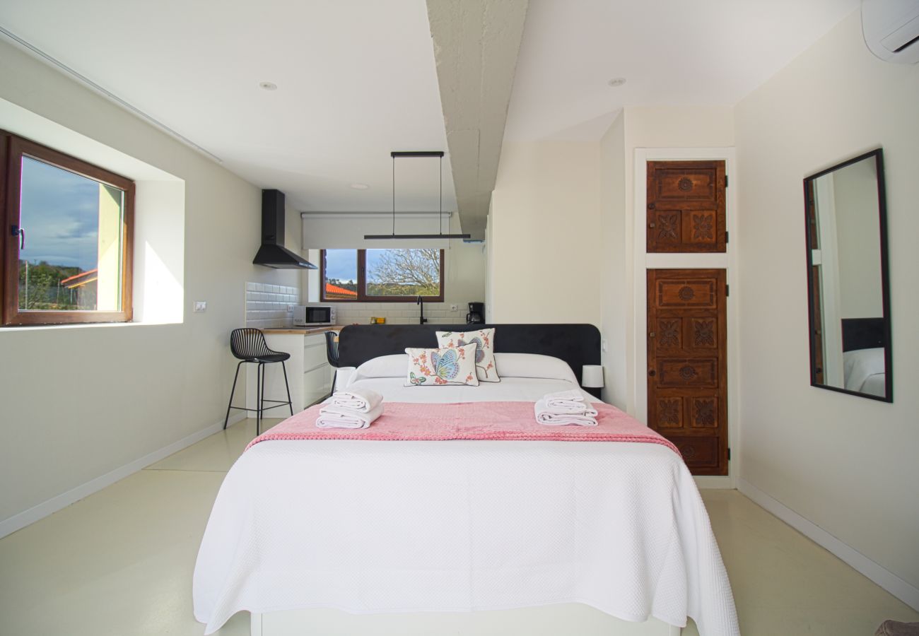 Estudio en Santillana del Mar - Casa del Pozo. Apartamento #1