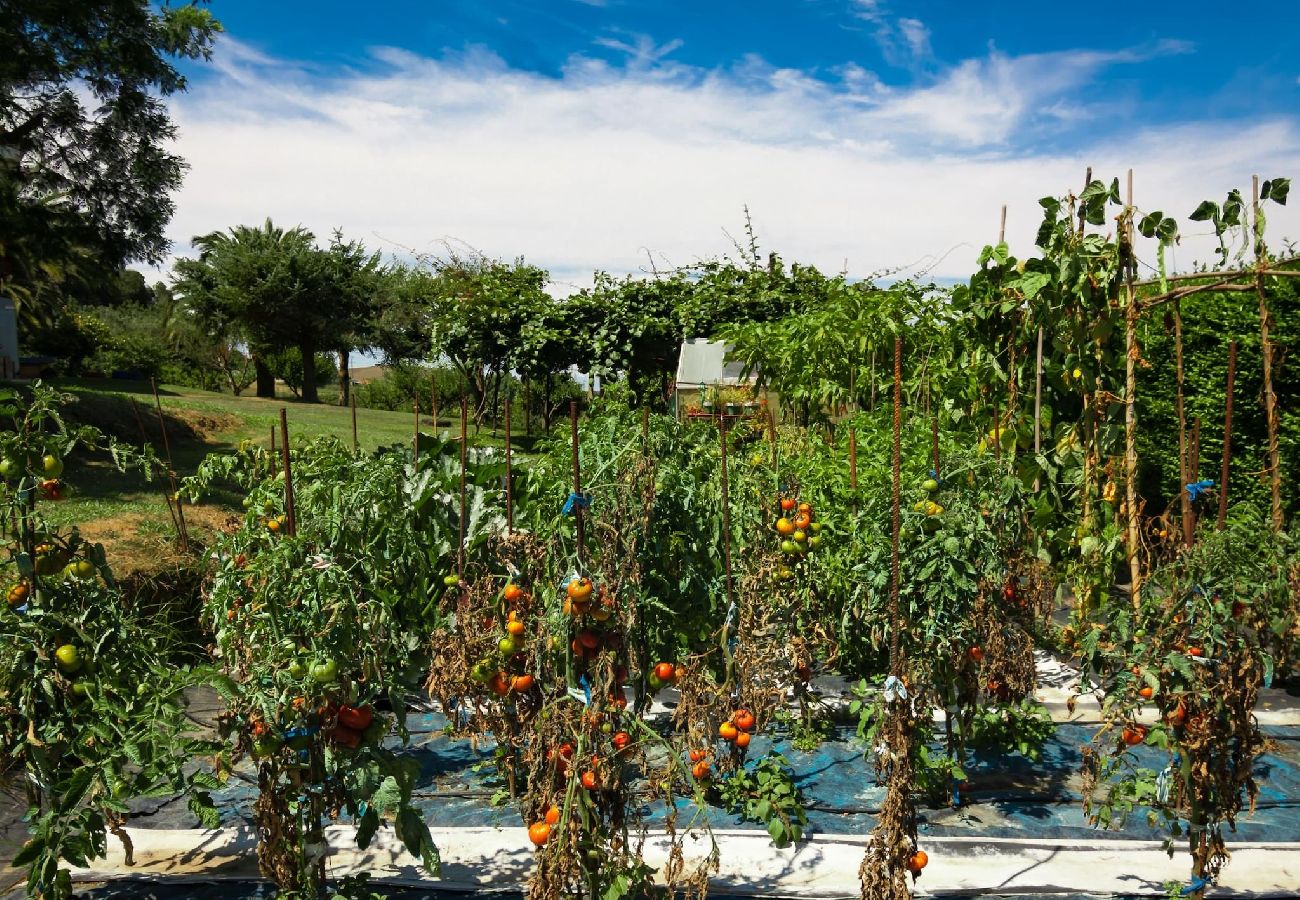 Casa en Miengo - Villa Rubén