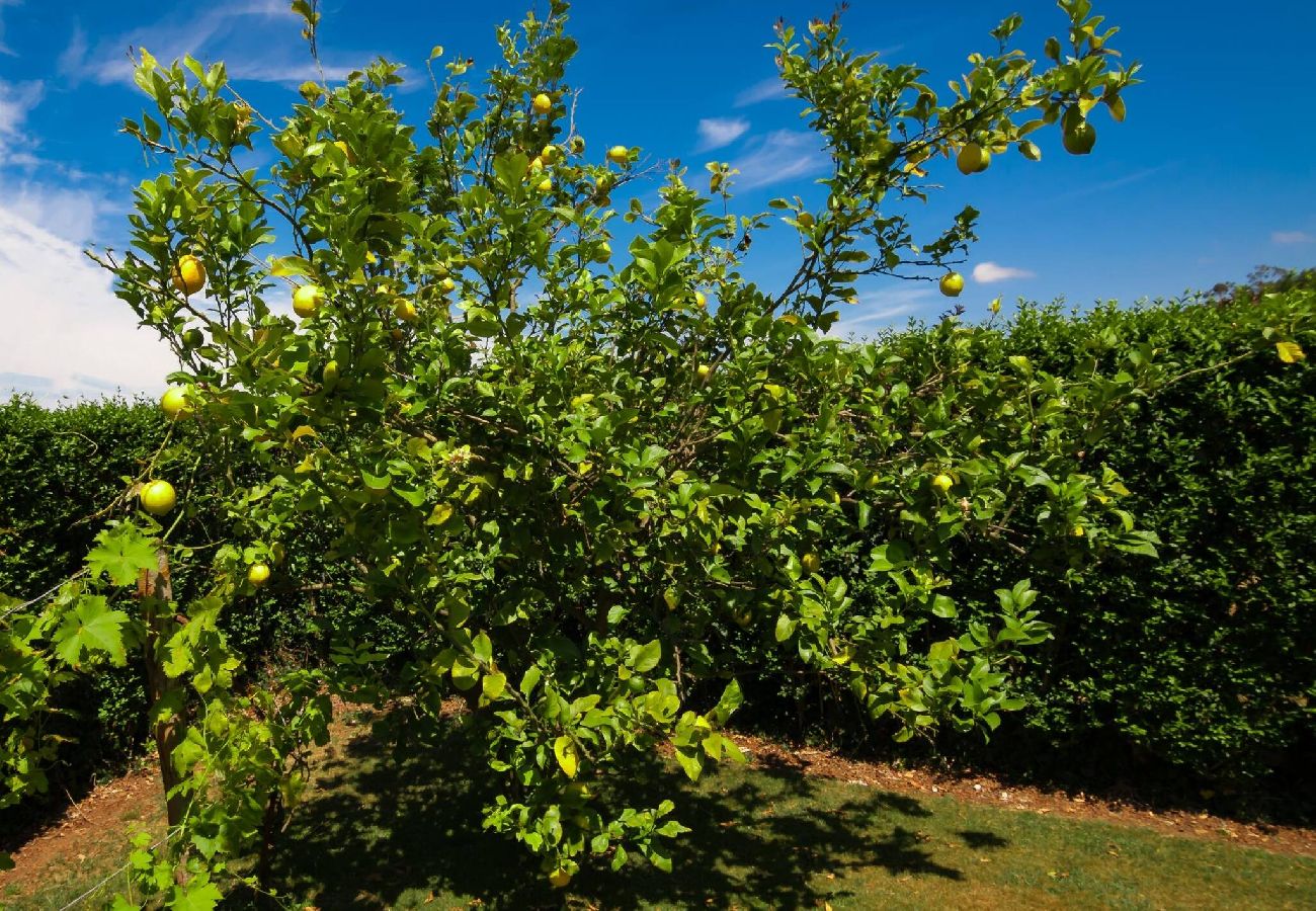 Casa en Miengo - Villa Rubén