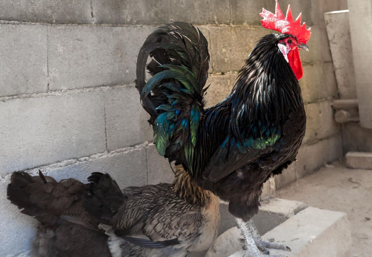 Casa en Miengo - Villa Rubén