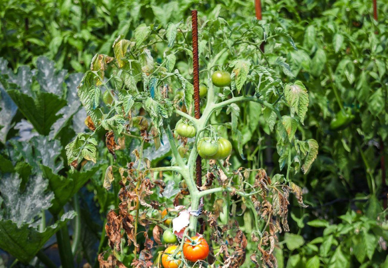 Casa en Miengo - Villa Rubén