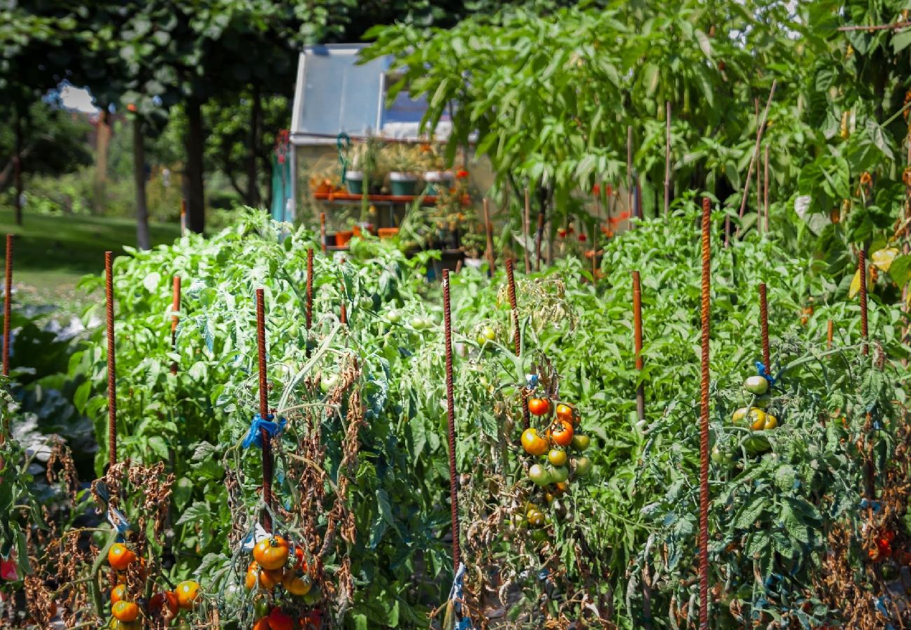 Casa en Miengo - Villa Rubén