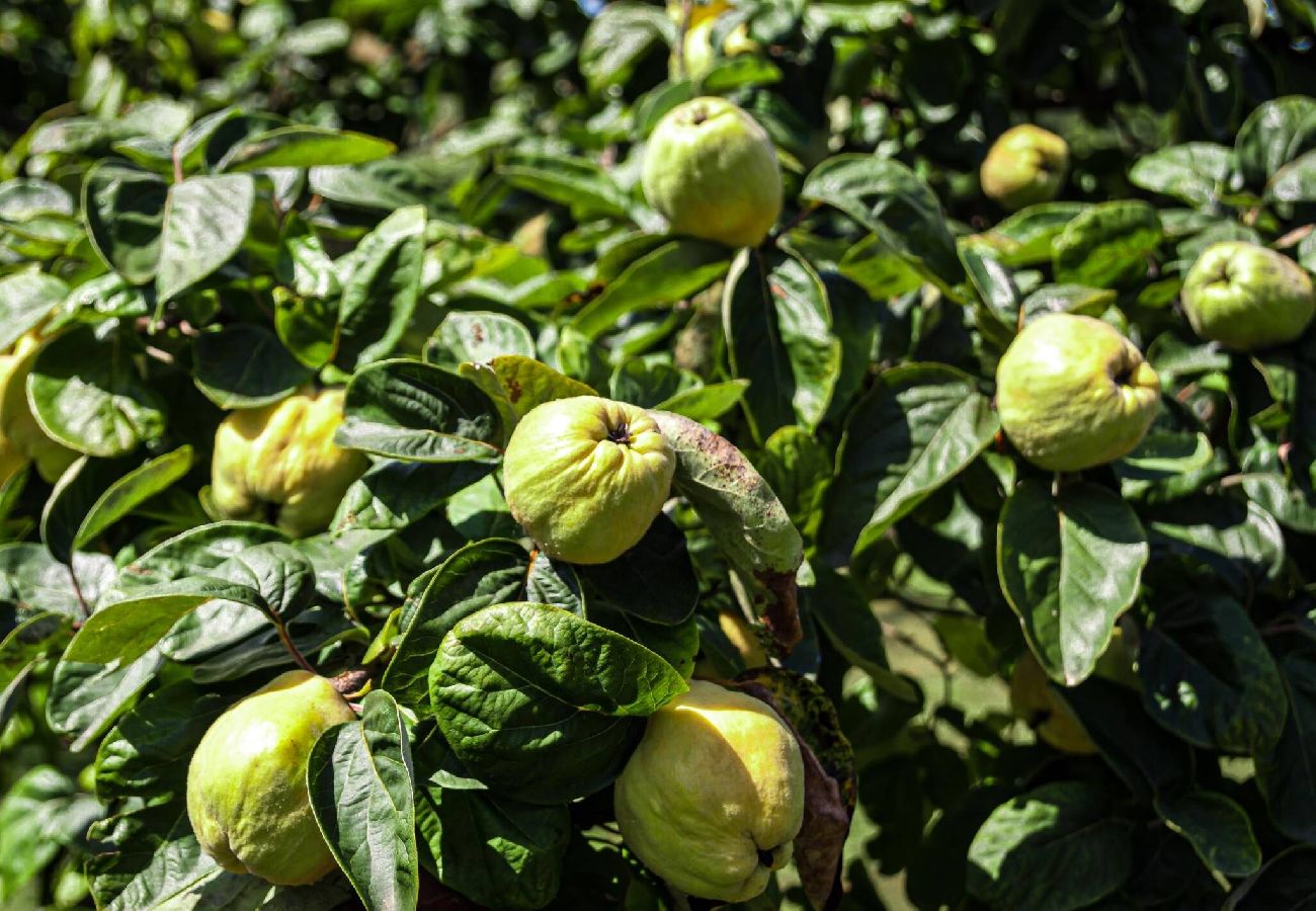 Casa en Miengo - Villa Rubén