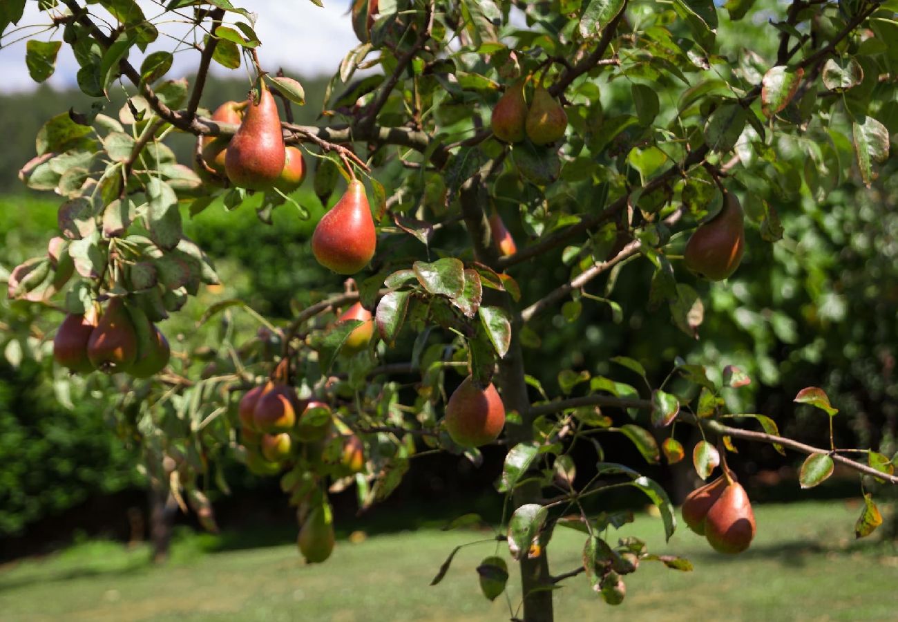 Casa en Miengo - Villa Rubén