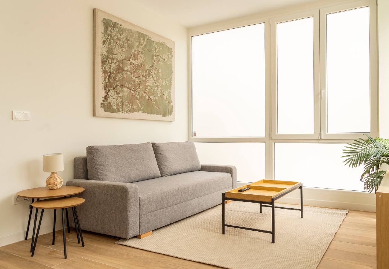 Apartamento en Santander - Can Sardinero. Santander y la playa a tus pies