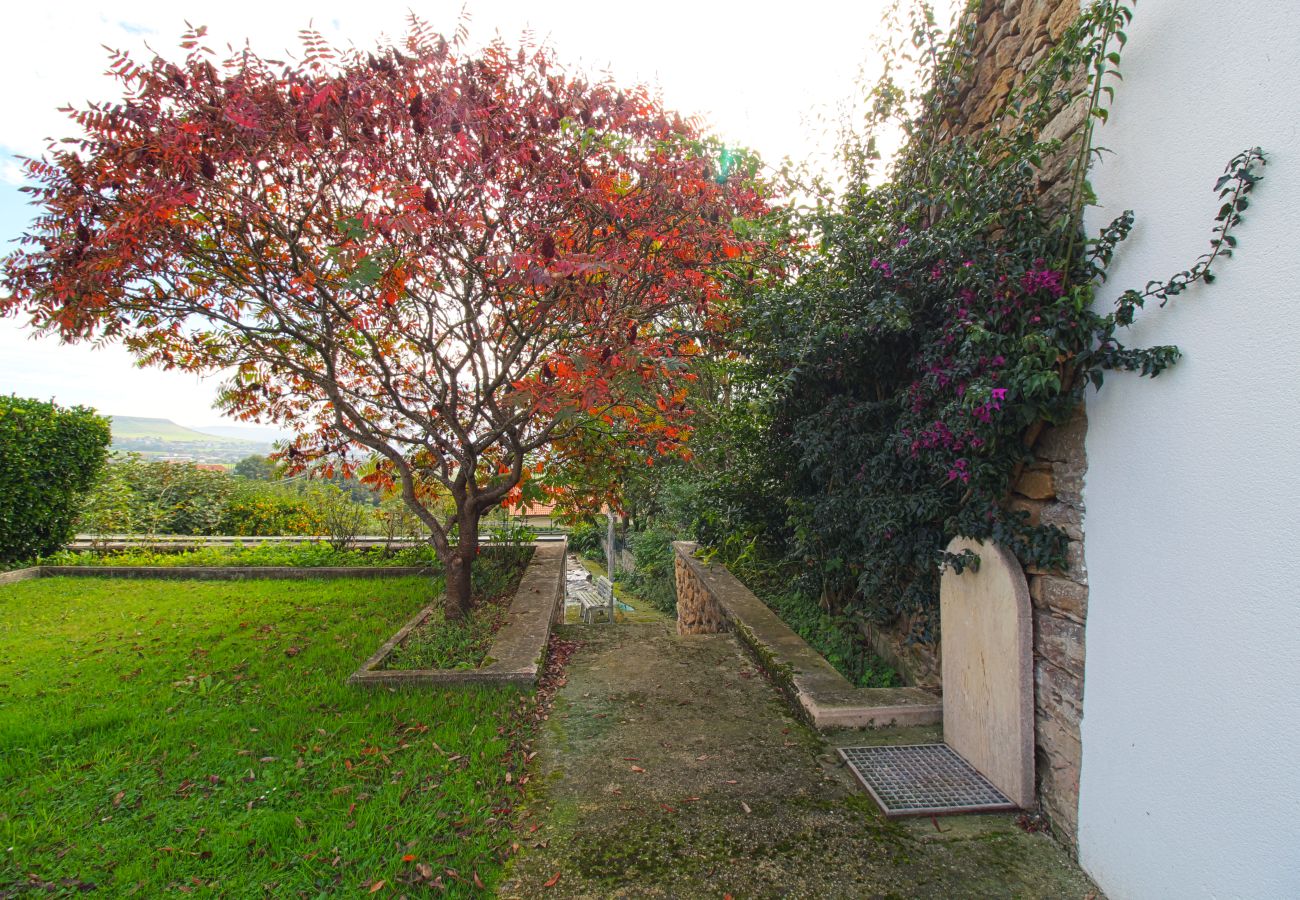 Casa en Suances - Villa Margarita con piscina, barbacoa y jardín